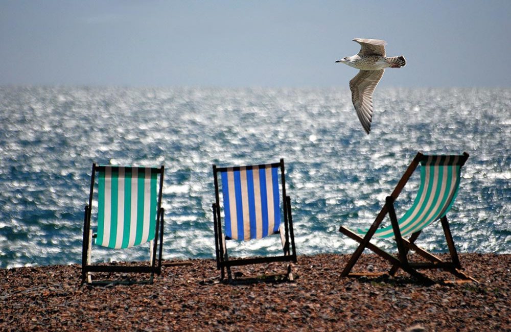 sea-beach-summer-seagull